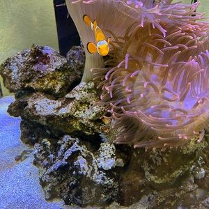 Meet your Posher, Rheagan